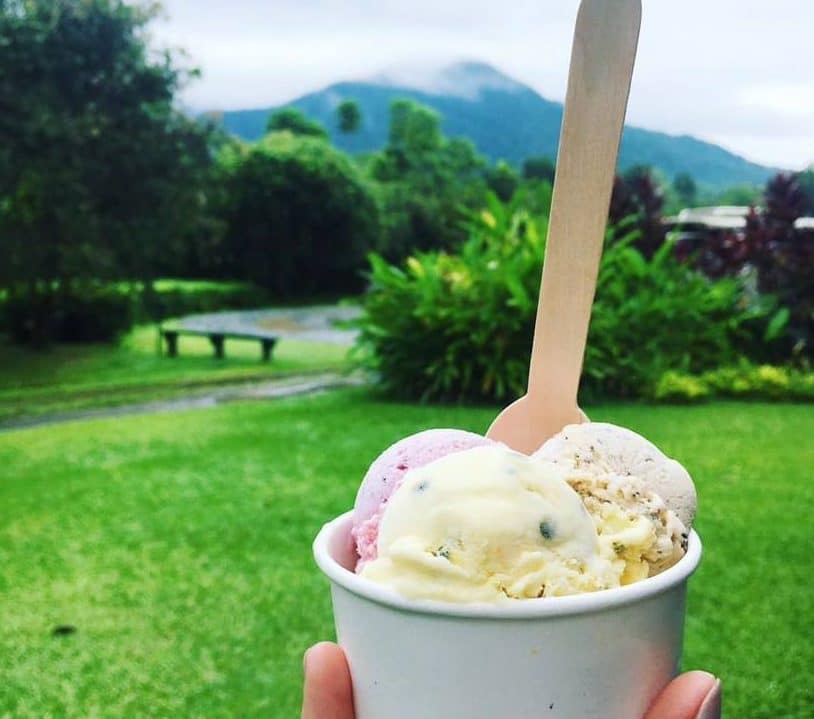 daintree-ice-cream-cape-tribulation