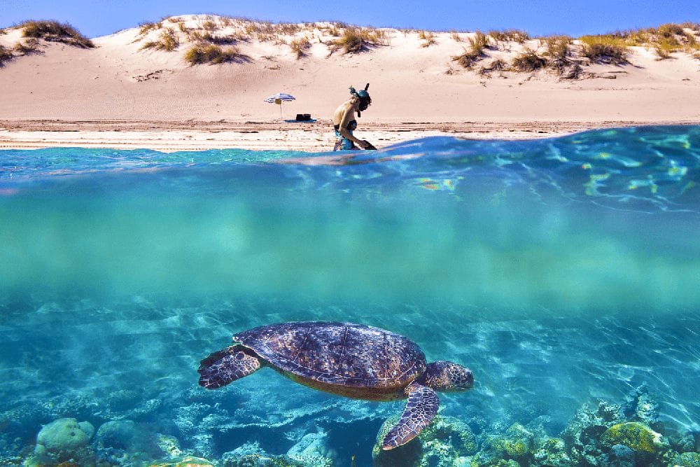 exmouth-western-australia