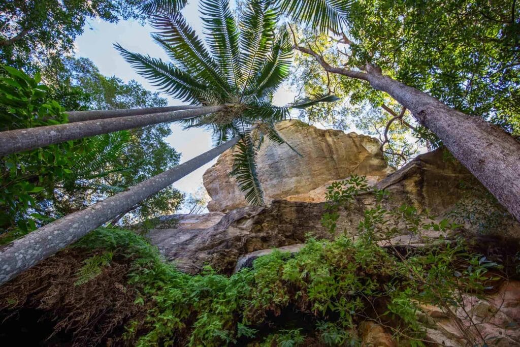 cania-gorge - Londoner In Sydney cania-gorge