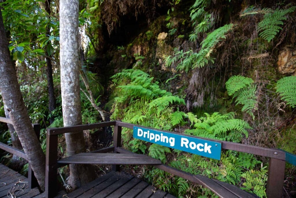 dripping-rock-cania-gorge - Londoner In Sydney dripping-rock-cania-gorge