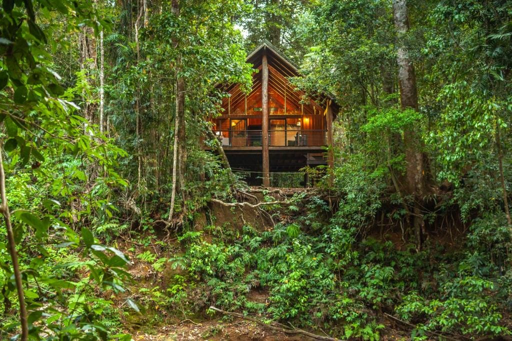 the-canopy-atherton-tablelands-accommodation - Londoner In Sydney the-canopy-atherton-tablelands-accommodation