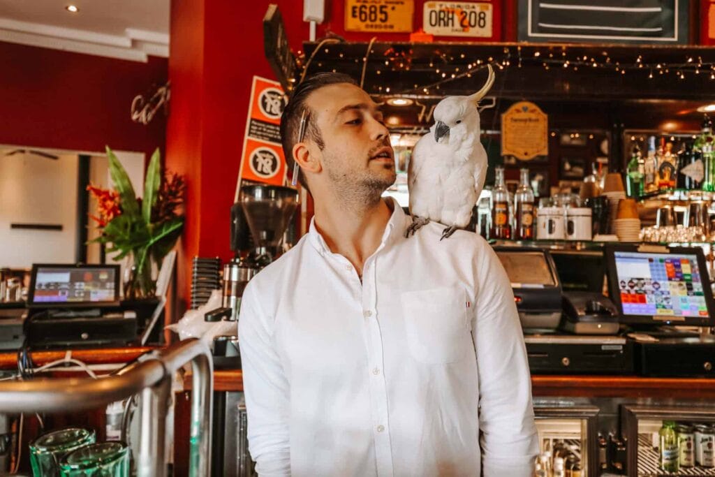 friend-in-hand-glebe