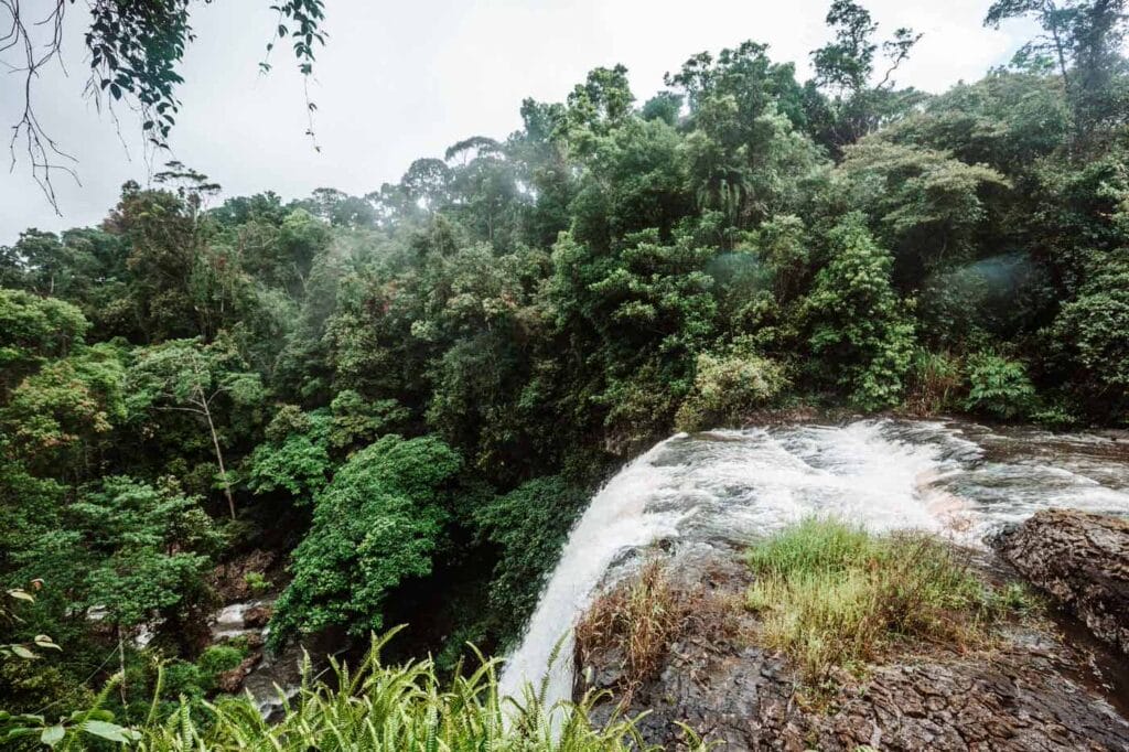 zillie-falls-atherton-tablelands - Londoner In Sydney zillie-falls-atherton-tablelands