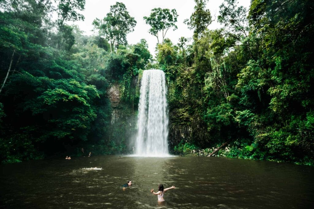 millaa-millaa-falls-cairns-waterfalls - Londoner In Sydney millaa-millaa-falls-cairns-waterfalls