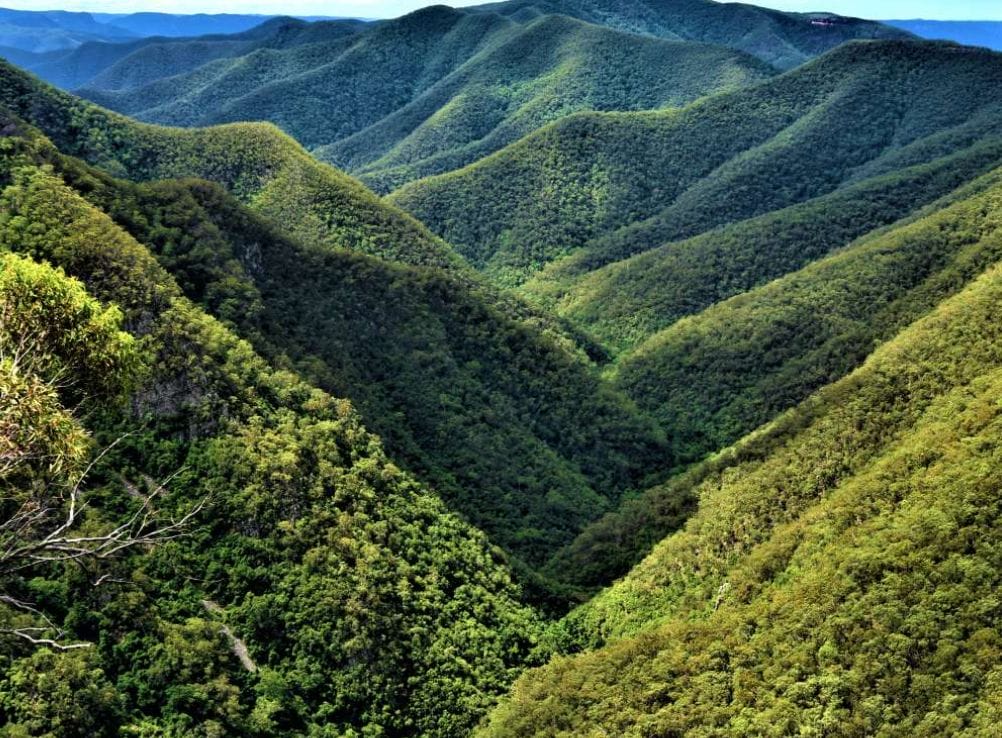 Screen Shot 2021-06-09 at 10.29.46 pm - Londoner In Sydney