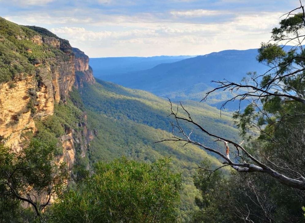 Screen Shot 2021-06-09 at 10.25.49 pm - Londoner In Sydney