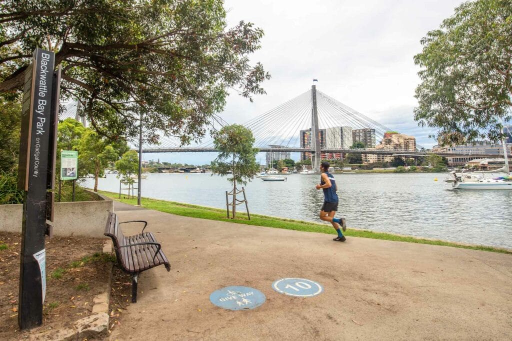 blackwattle-bay-glebe