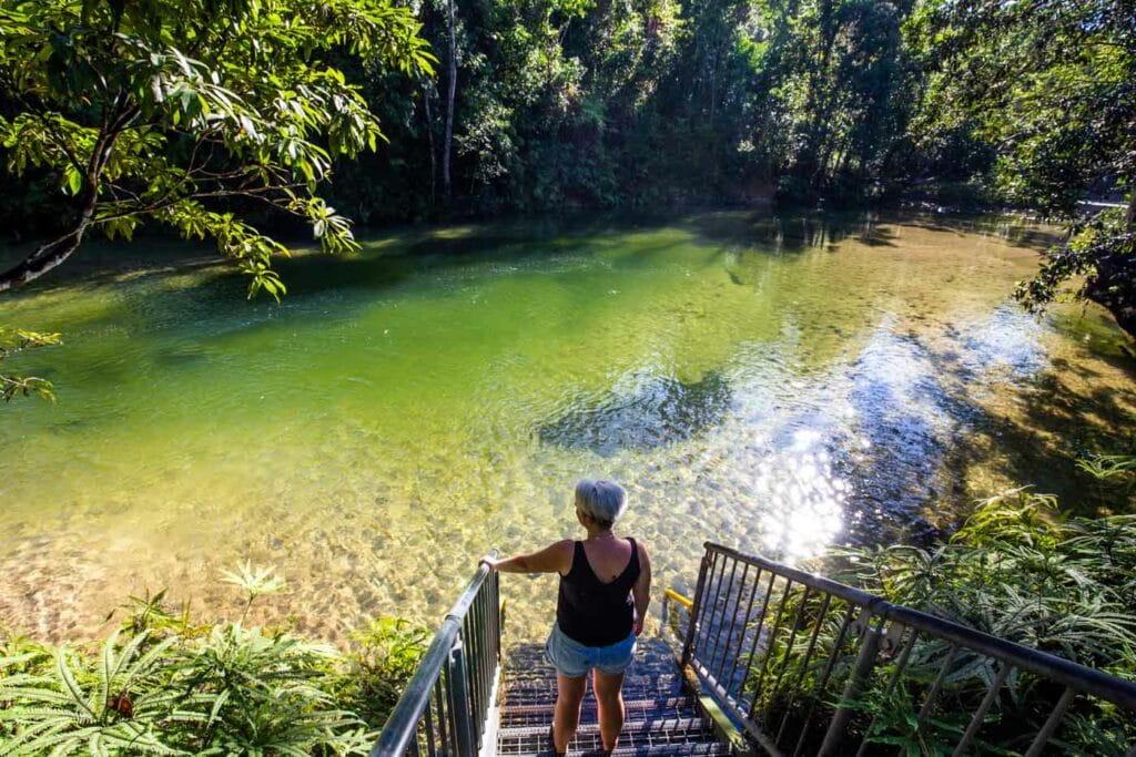 alligators-nest-cardwell-queensland
