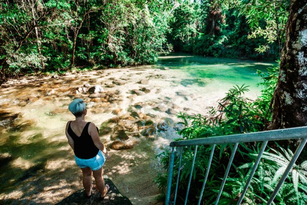 alligators-nest-cairns - Londoner In Sydney alligators-nest-cairns