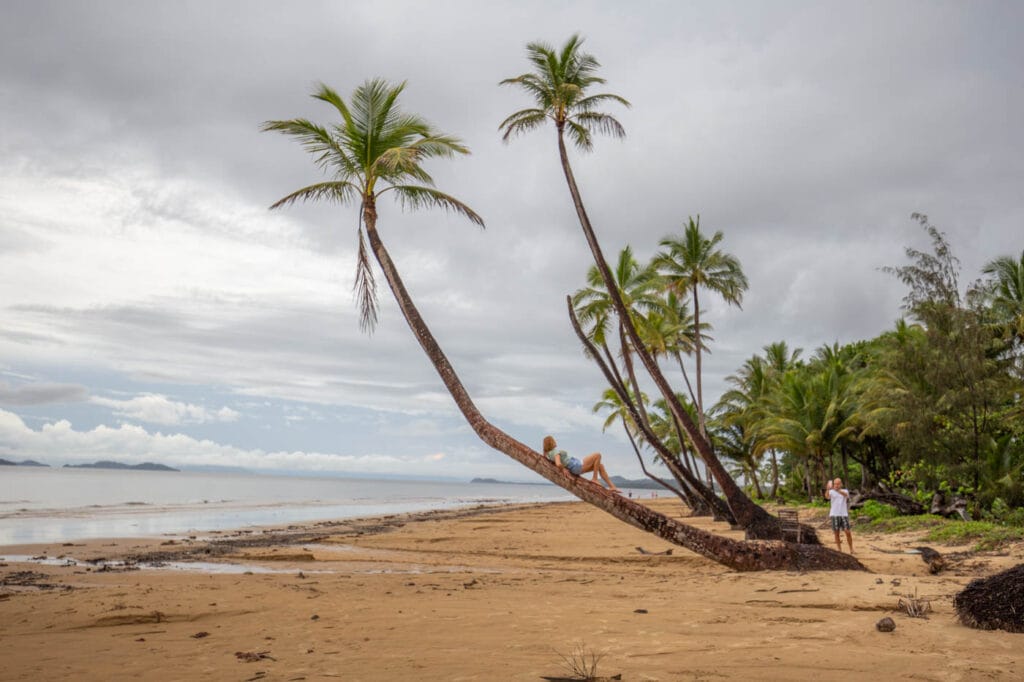mission-beach-insta-famous-palm-trees - Londoner In Sydney mission-beach-insta-famous-palm-trees
