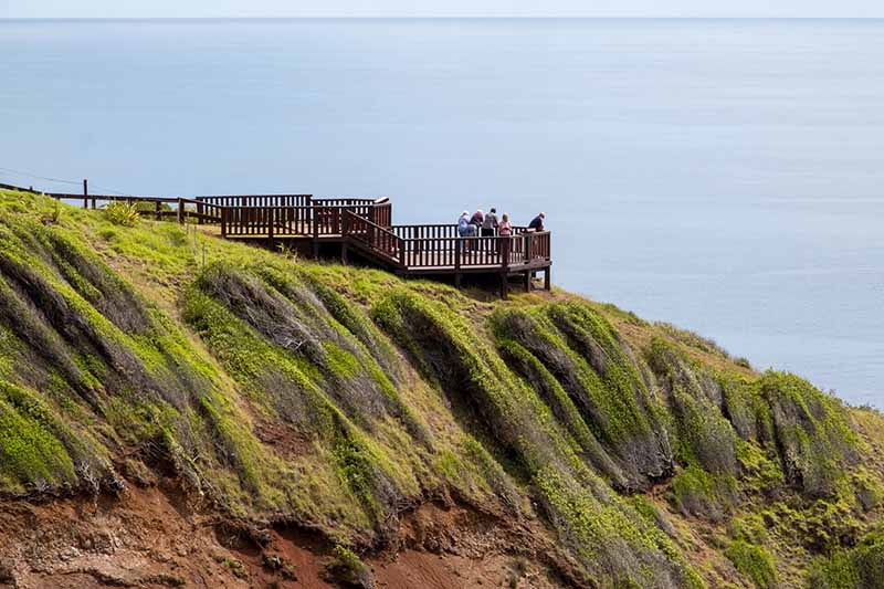 things-to-do-in-norfolk-island - Londoner In Sydney things-to-do-in-tasmania