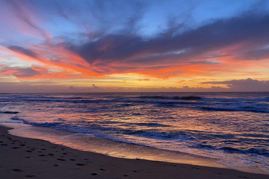 expat-in-australia-krysta - Londoner In Sydney expat-in-australia-krysta