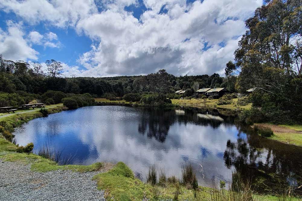 Enchanted-Walk-cradle-mountain-tasmania