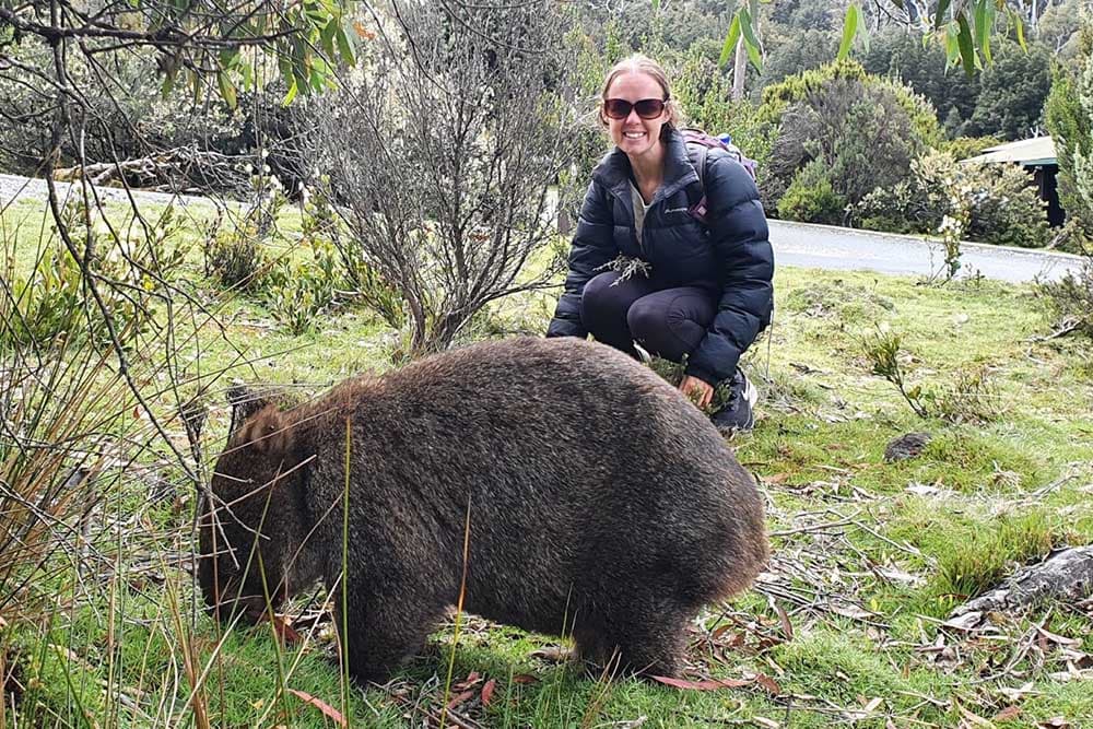 wild-wombat-cradle-mountain-walk