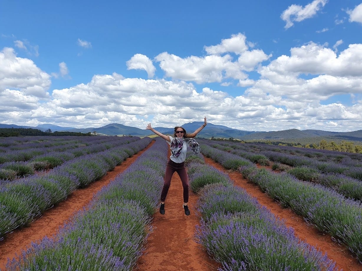 Bridestow-Lavender-Fields-Tasmania