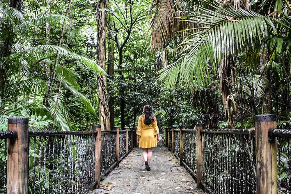 Broadwater-Creek-walk-day-trips-from-townsville - Londoner In Sydney Broadwater-Creek-walk-day-trips-from-townsville