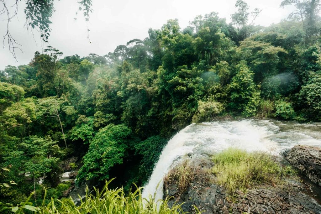 zillie-falls-cairns