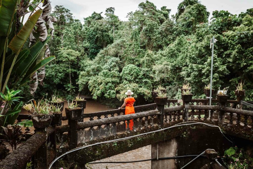 This image has an empty alt attribute; its file name is IMG_8225-1024x683.jpg