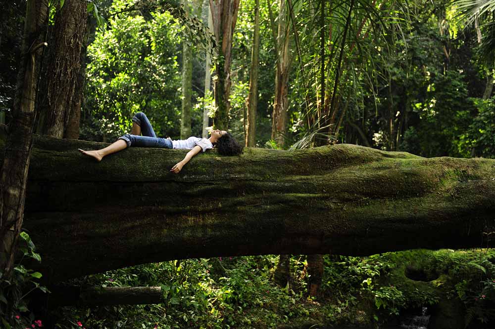 forest-bathing-kangaroo-valley