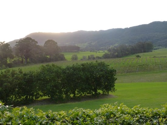 silos-estate-kangaroo-valley - Londoner In Sydney silos-estate-kangaroo-valley