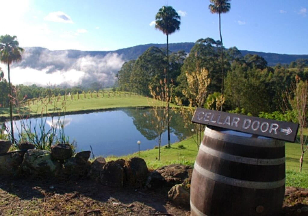 yarrawa-estate-vineyard-kangaroo-valley - Londoner In Sydney yarrawa-estate-vineyard-kangaroo-valley