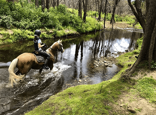 kangaroo-valley-horse-riding - Londoner In Sydney kangaroo-valley-horse-riding