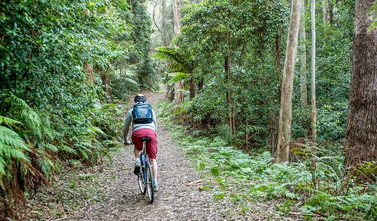 mountain-biking-kangaroo-valley - Londoner In Sydney mountain-biking-kangaroo-valley