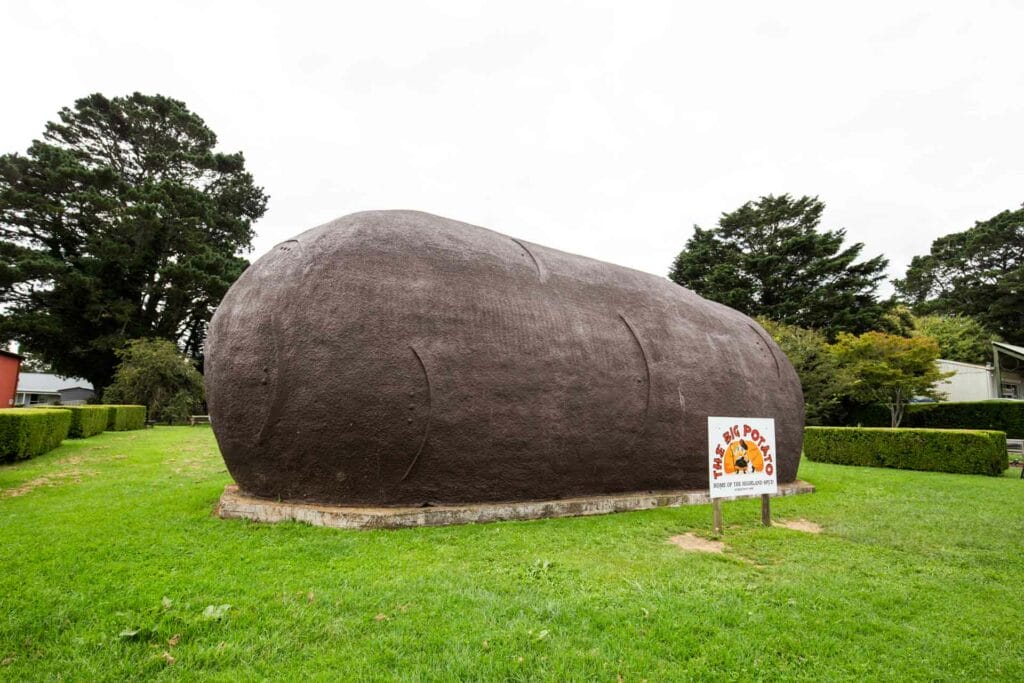 the-big-potato-robertson - Londoner In Sydney the-big-potato-robertson