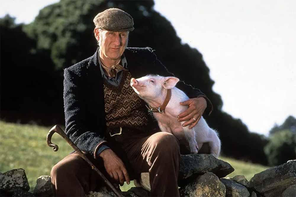 babe-robertson-nsw - Londoner In Sydney babe-robertson-nsw