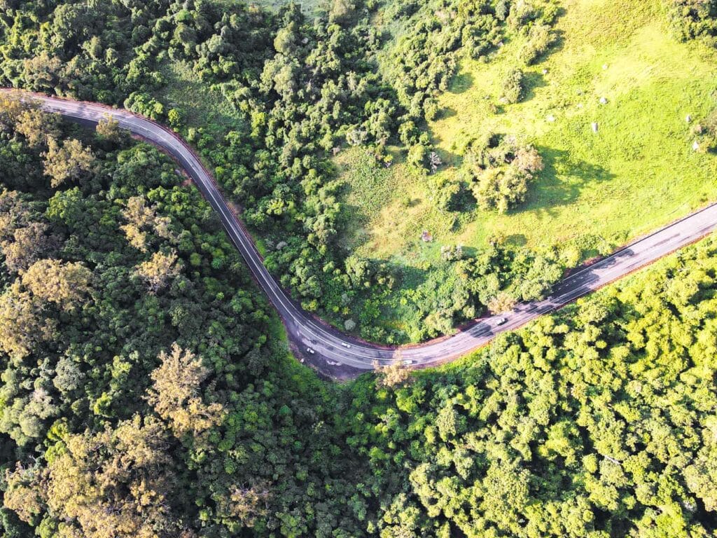 things-to-do-in-kangaroo-valley