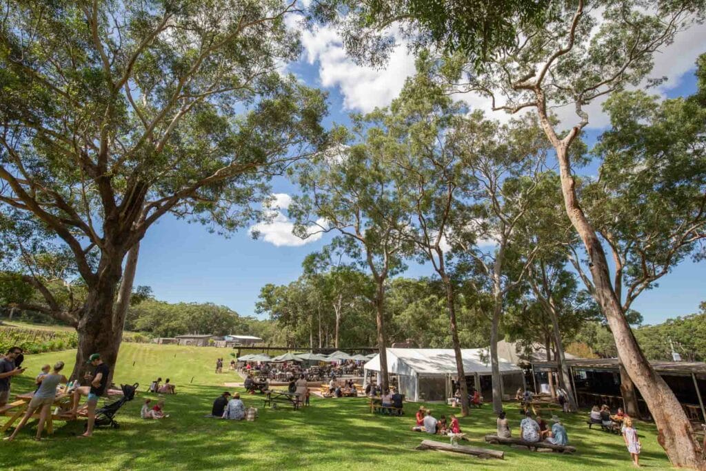 murrays-brewing-company