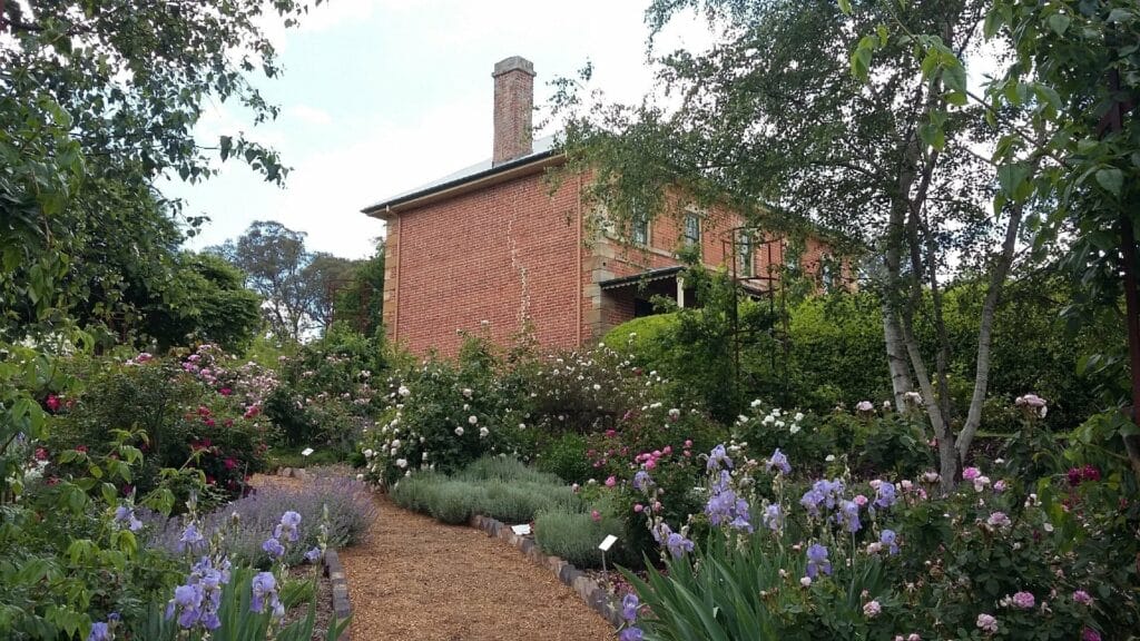 harpers-mansion-maze - Londoner In Sydney harpers-mansion-maze