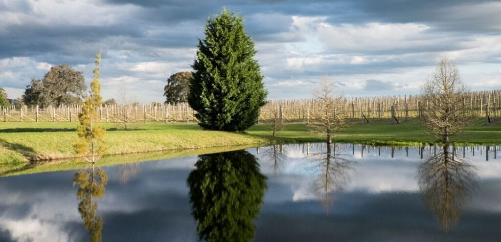 Tertini-winery-bowral - Londoner In Sydney Tertini-winery-bowral