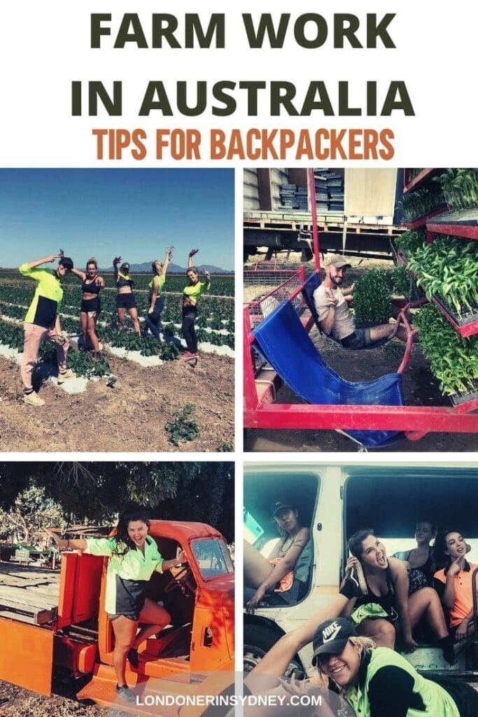 farm-work-in-australia-tips