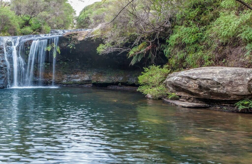 nellies-glen-kangaroo-valley-waterfalls - Londoner In Sydney nellies-glen-kangaroo-valley-waterfalls