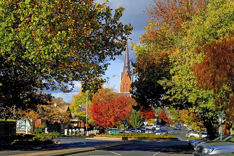 Orange-nsw