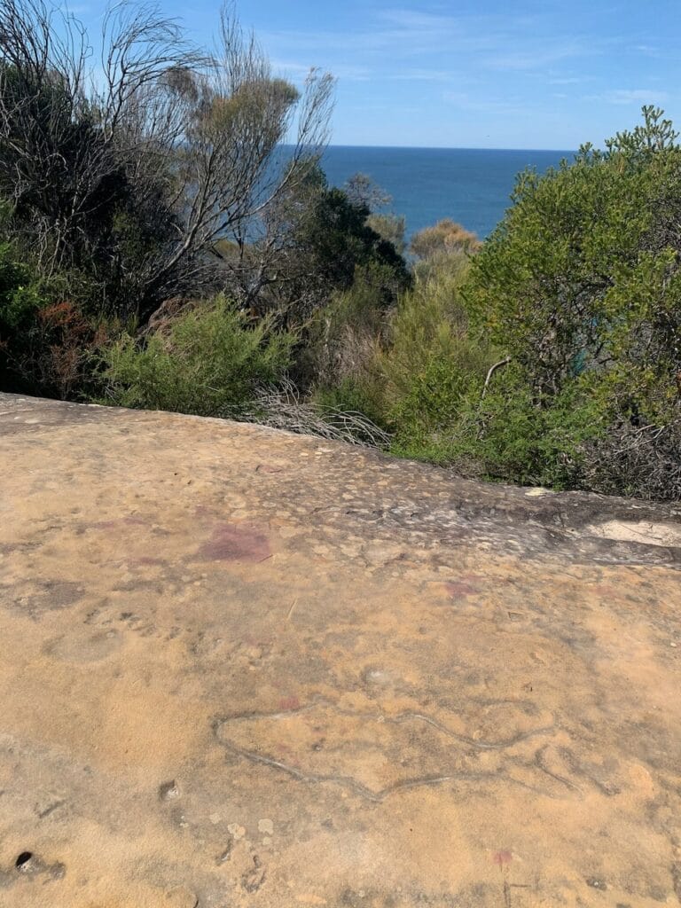 Grotto Point Engravings - Londoner In Sydney
