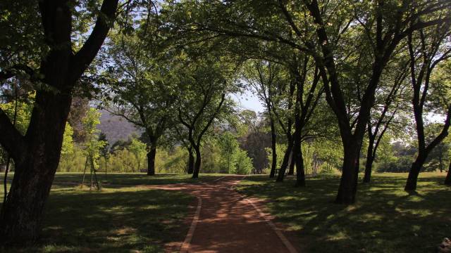 weston-park-canberra