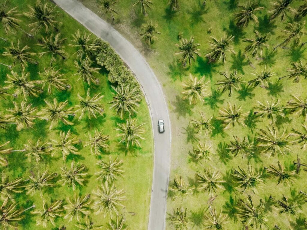 thala-nature-reserve-cairns