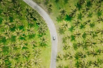 thala-nature-reserve-cairns-wet-season