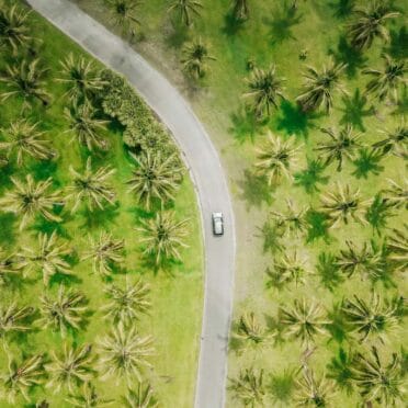 thala-nature-reserve-cairns-wet-season