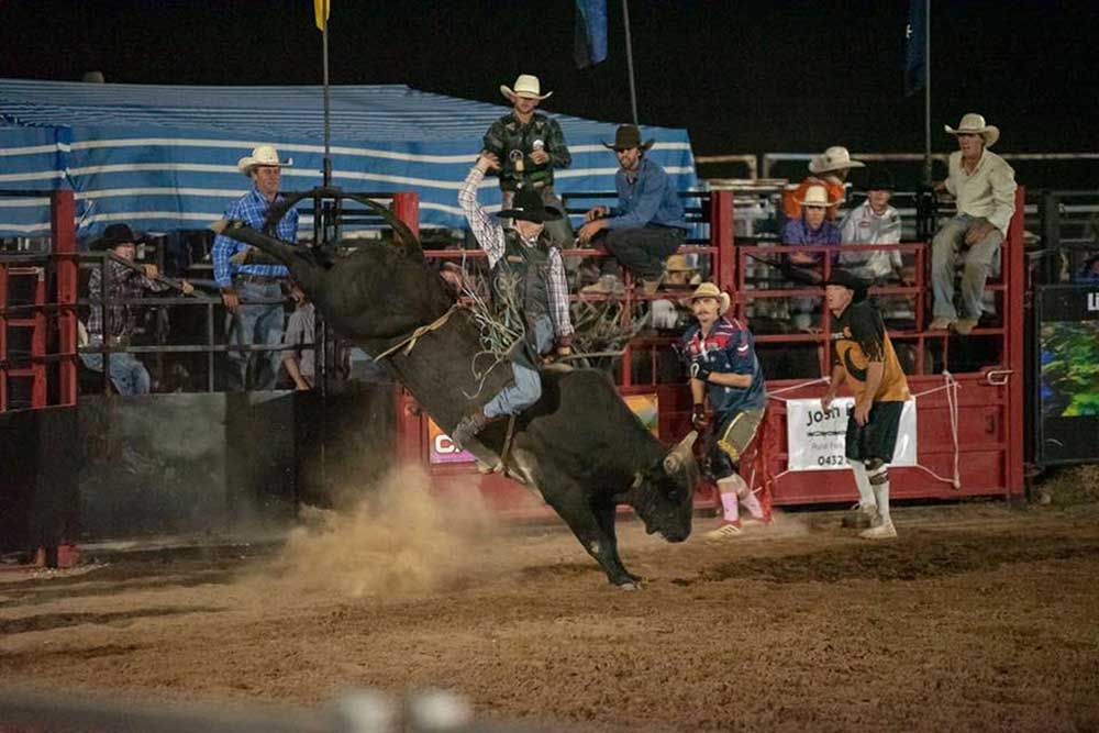 black-opal-bull-and-bronc-ride