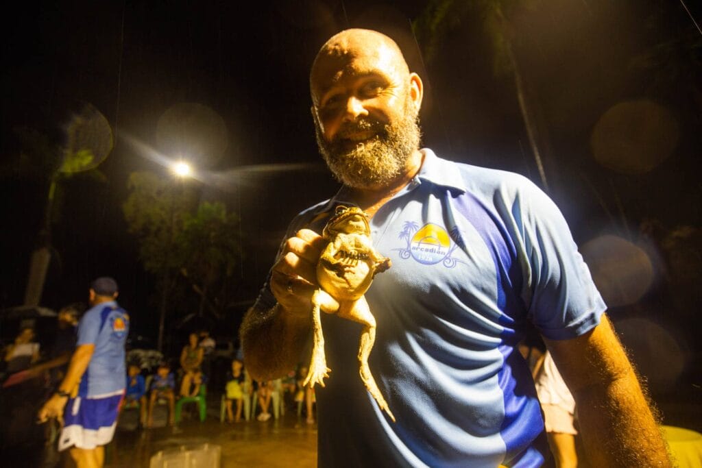 cane-toad-racing-magnetic-island-5 - Londoner In Sydney cane-toad-racing-magnetic-island-5