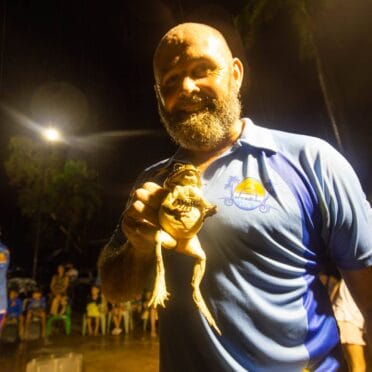 cane-toad-racing-magnetic-island-5
