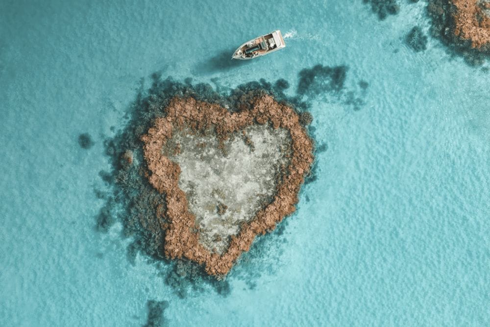 heart-reef-whitsundays