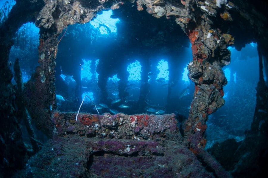 yongala-wreck - Londoner In Sydney yongala-wreck