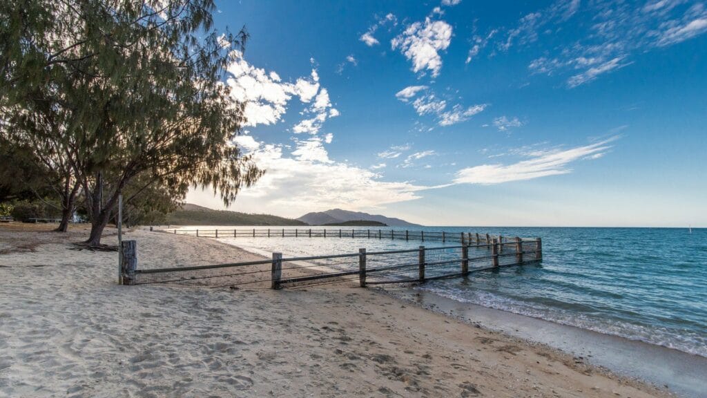 dingo-beach-qld