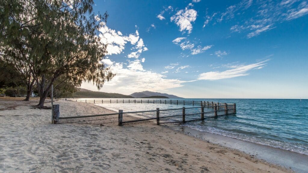 dingo-beach-qld - Londoner In Sydney dingo-beach-qld
