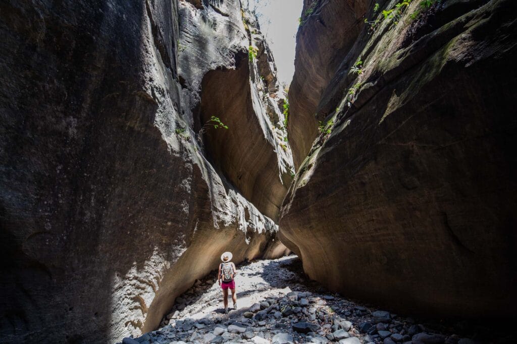 carnarvon-gorge-qld - Londoner In Sydney carnarvon-gorge-qld