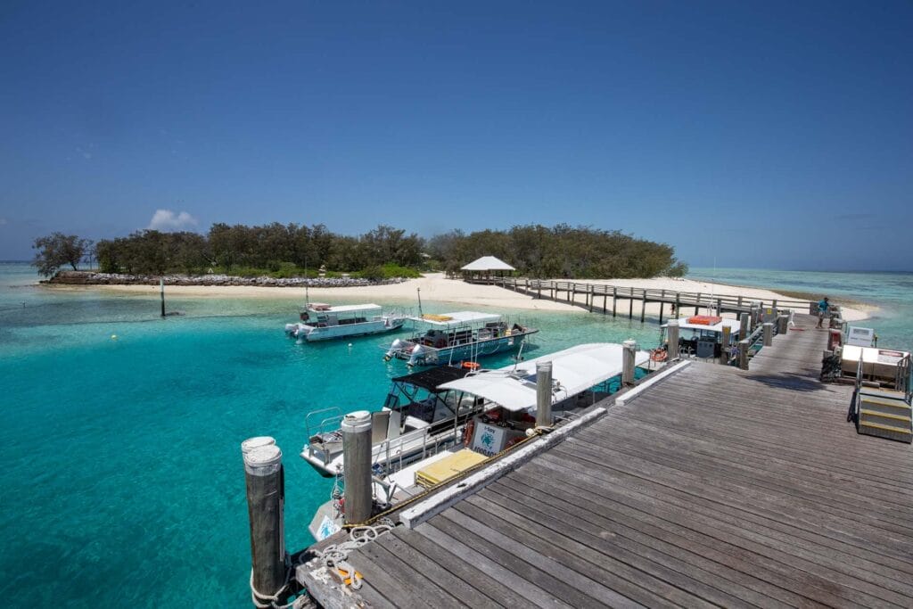 heron-island-great-barrier-reef-16